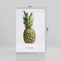 Obraz na płótnie 70x100 - Ananas Egzotyczne Odkrycie - ananas, owoc