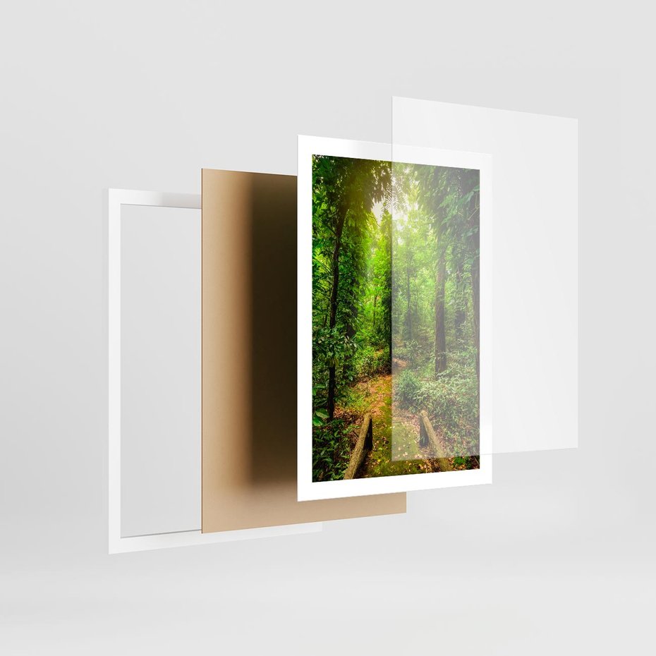 Plakat w ramie 50x70 - Współistnienie z naturą - drzewa, las - rama biała
