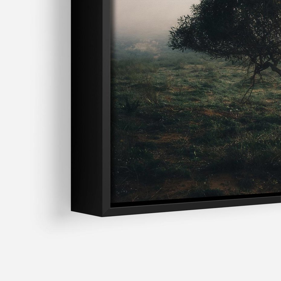 Obraz w ramie 50x50 - Zamglona Prostota - artystyczna fotografia, samotne drzewo na zamglonej łące - rama czarna
