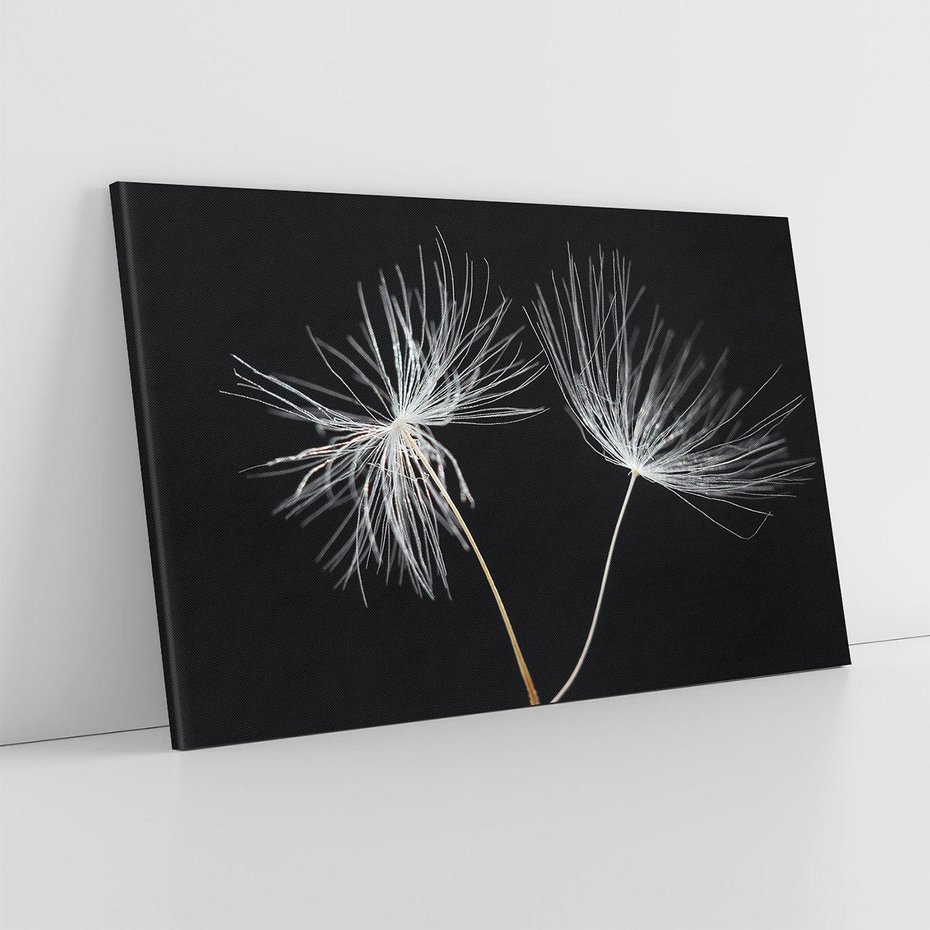 Obraz na płótnie 120x80 - Delikatność Wiatru - dmuchawce, makro