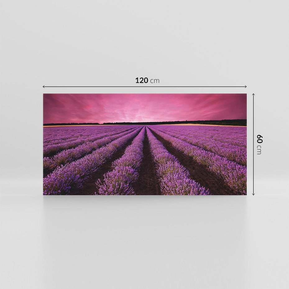 Obraz na płótnie 120x60 - Pola lawendy w pełnym rozkwicie - Lawenda, krajobraz