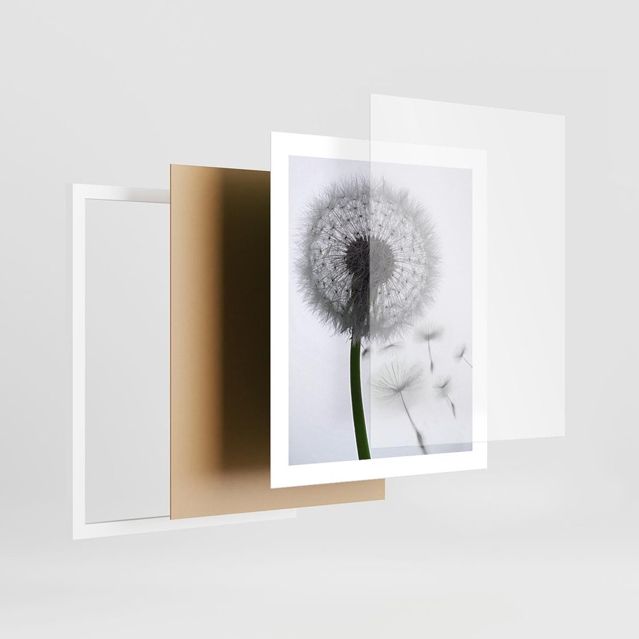 Plakat w ramie 40x50 - Lekkość Przemijania - dmuchawiec, makro - rama biała