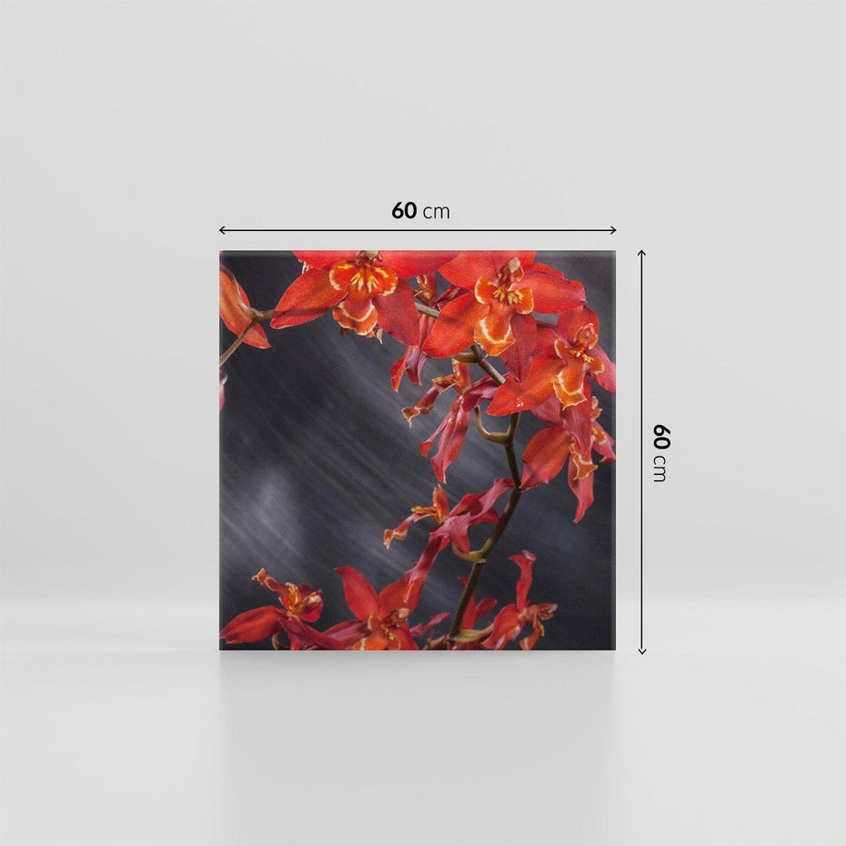 Obraz na płótnie 60x60 - Kolorowy Raj - kwiaty, tropikalne