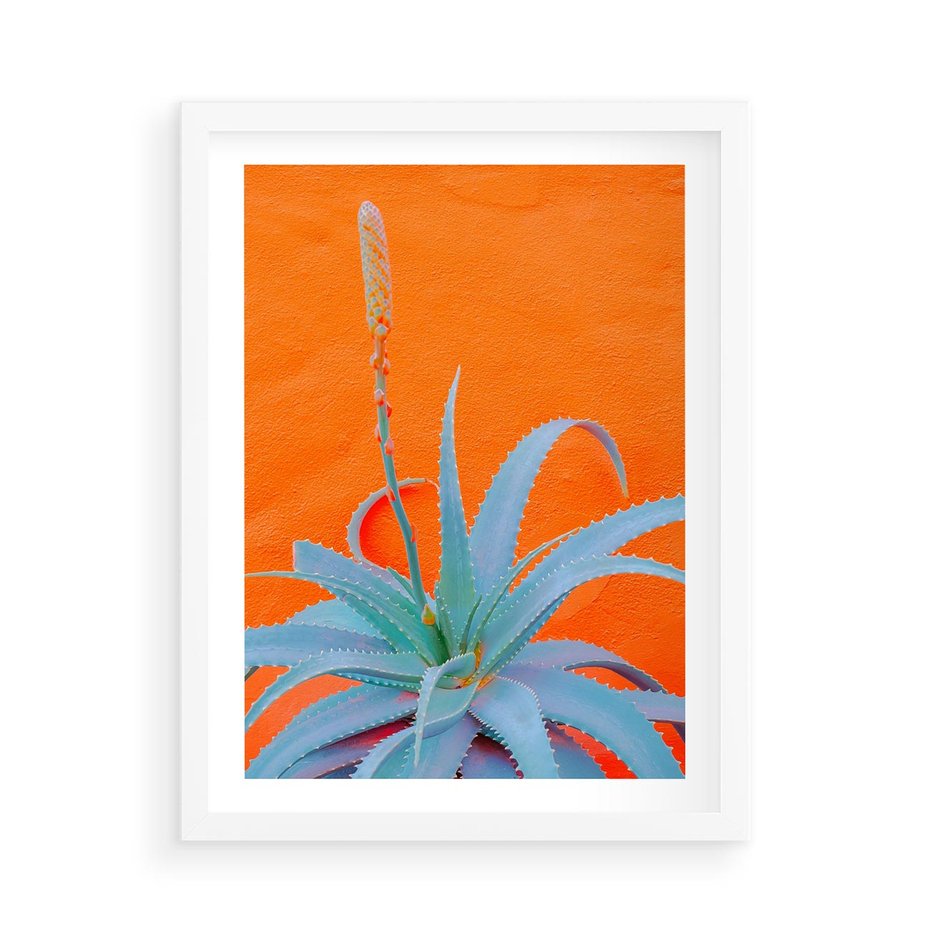 Plakat w ramie 50x70 - Naturalna Harmonia - kaktusy, liście - rama biała