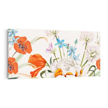 Obraz na płótnie 100x50 - Polne Kwiaty - polne kwiaty, na białym tle