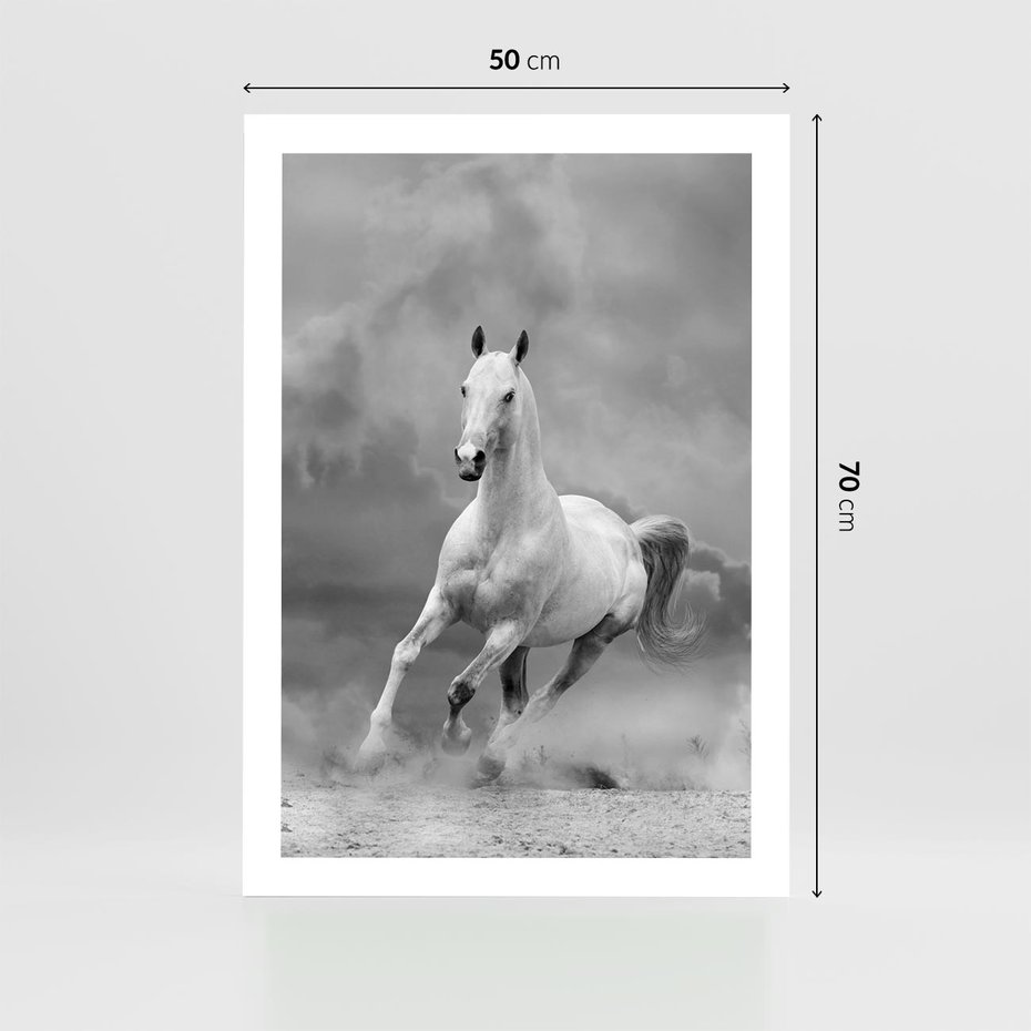 Plakat bez ramy 50x70 - Elegancja w Czarno-Białym - koń, biało