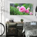 Obraz na płótnie 120x60 - Różane Ukojenie - róże, kwiaty