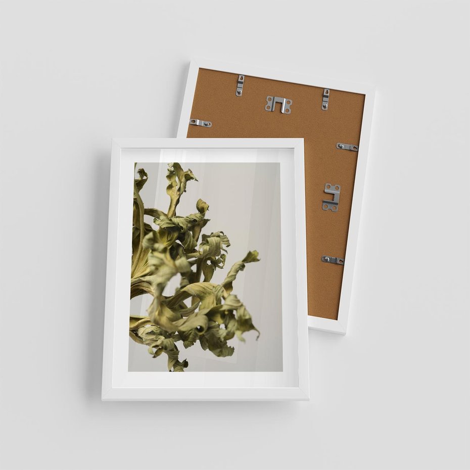 Plakat w ramie 30x40 - Odejście pory deszczowej - suche, trawy - rama biała