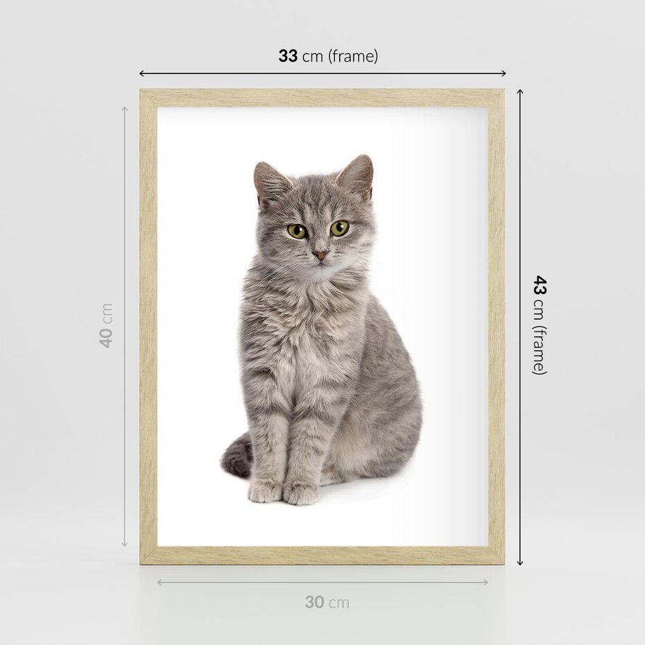Plakat w ramie 30x40 - Kocie uroki na płótnie - kot, kotek - rama drewno