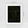 Plakat w ramie 40x50 - Ciemny las iglasty - las, iglasty - rama biała