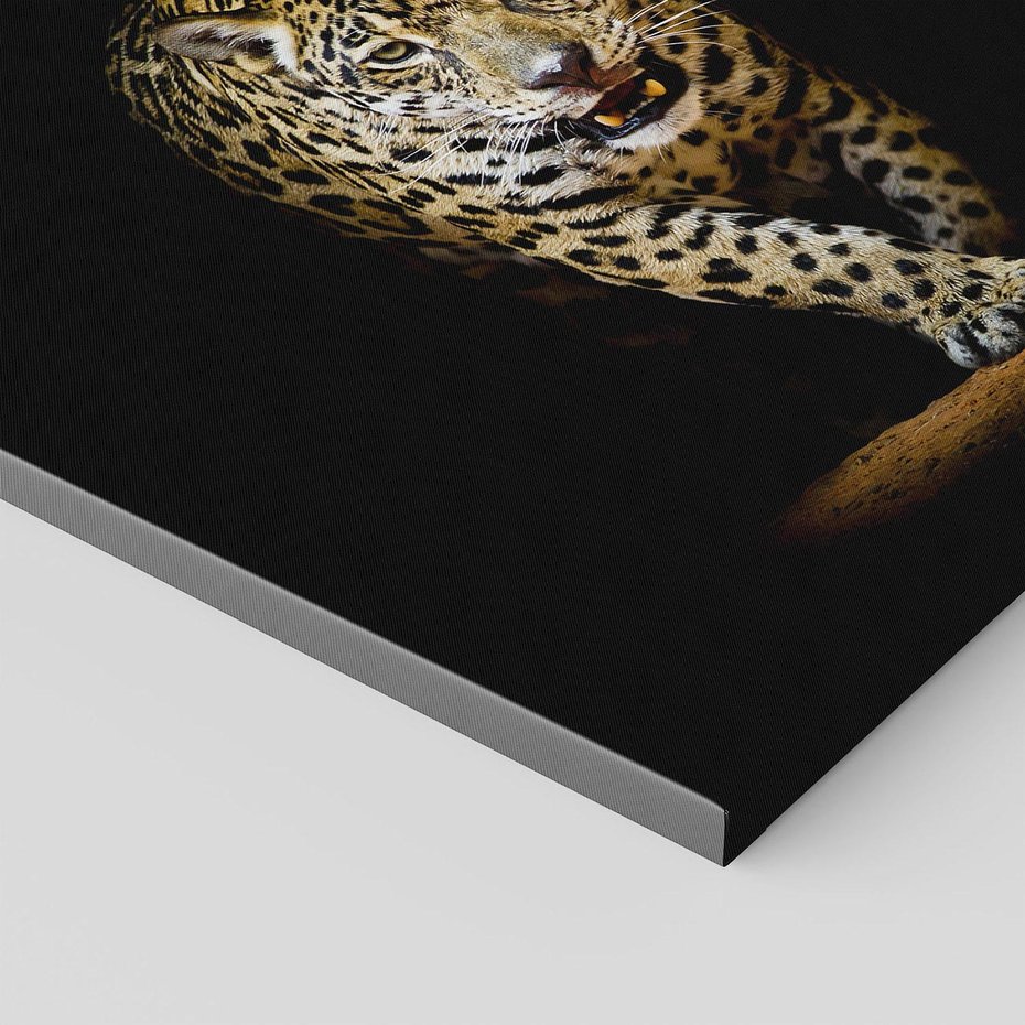 Obraz na płótnie 40x40 - Elegancja lamparta - lampart, pantera