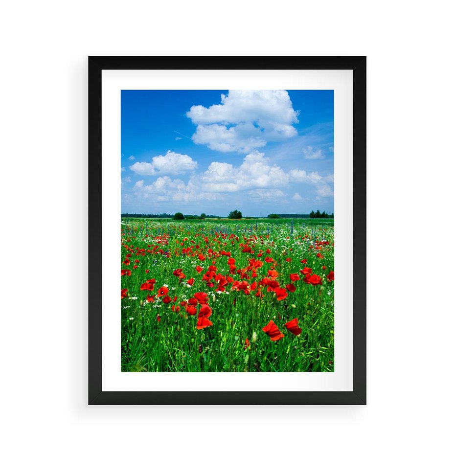 Plakat w ramie 40x50 - Kolorowa łąka pełna maku - łąka, maki - rama czarna