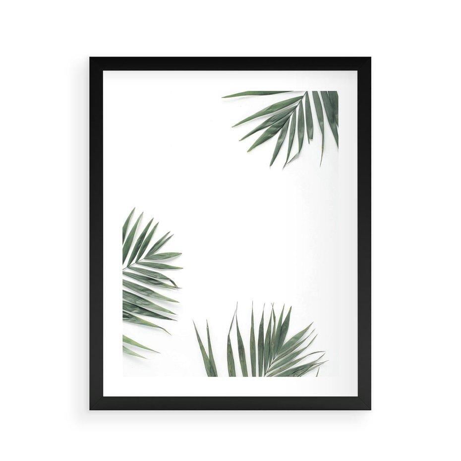 Plakat w ramie 40x50 - Liście Palmy na Czystym Tle - liście palmy, białe tło - rama czarna