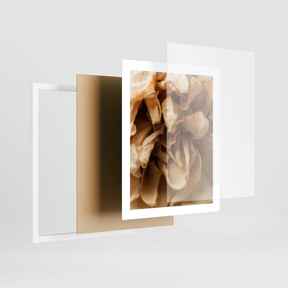 Plakat w ramie 40x50 - Zjawiskowe zasuszone kwiaty - zasuszone, kwiaty - rama biała