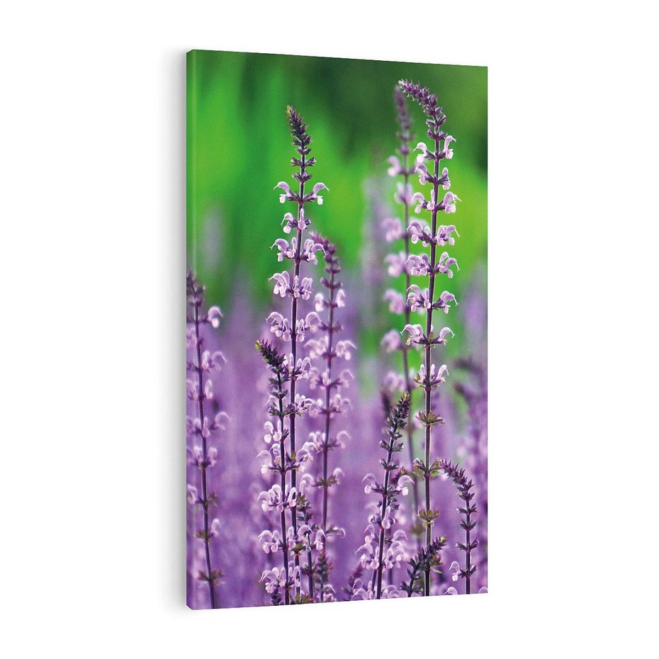 Obraz na płótnie 70x100 - Lawendowy urok - lawenda, kwiaty