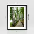 Plakat w ramie 30x40 - Spacer ścieżką przez brzozowy las - las, ścieżka - rama czarna