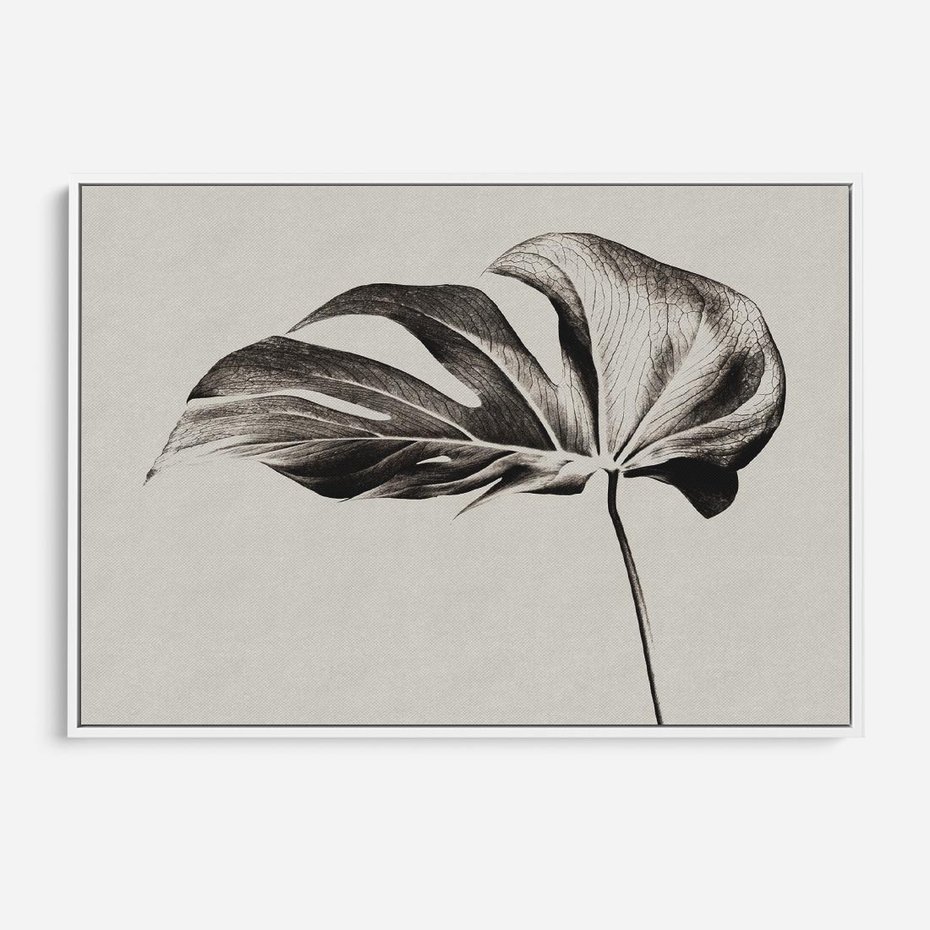 Obraz w ramie 120x80 - Szepczący Liść - szkic, czarno biały - rama biała