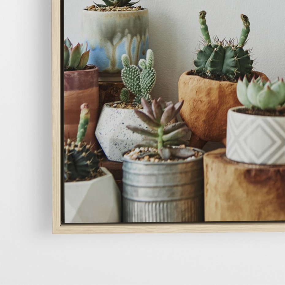 Obraz w ramie 80x120 - Naturalna Harmonia - kaktusy, liście - rama drewno