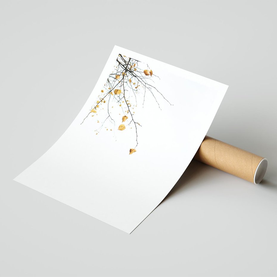 Plakat bez ramy 30x40 - Złota Jesień - drzewo, żółte liście
