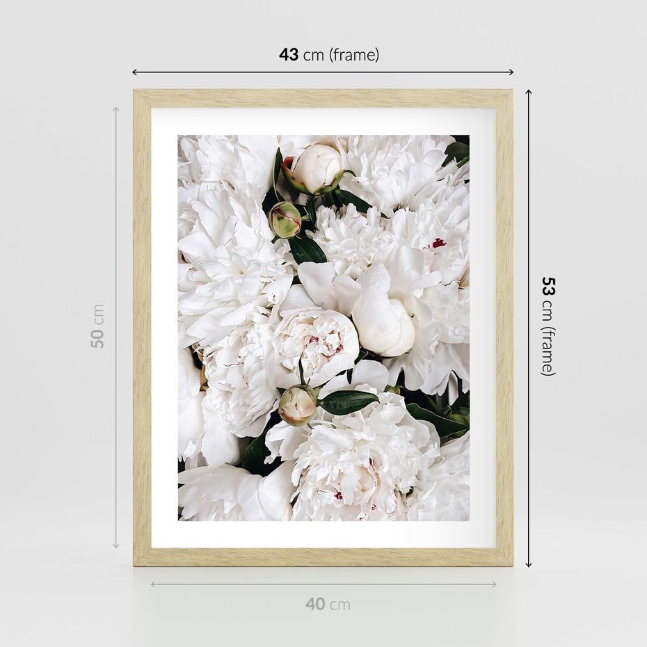 Plakat w ramie 40x50 - Modne Białe Kwiaty - białe kwiaty, płatki - rama drewno