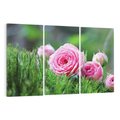 Obraz na płótnie 120x80 - Różane Ukojenie - róże, kwiaty