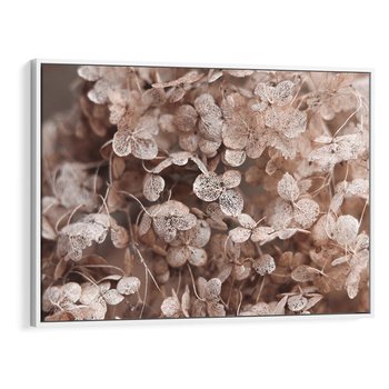 Obraz w ramie 70x50 - Przemijająca Piękność - fotografia, zbliżenie - rama biała