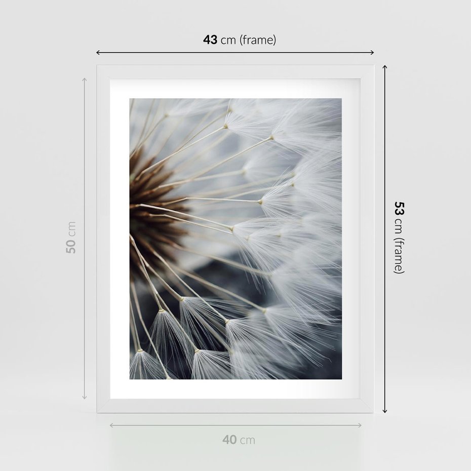 Plakat w ramie 40x50 - Dmuchawce w Naturze - dmuchawiec, zbliżenie - rama biała
