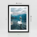 Plakat w ramie 30x40 - Łabędzi Śpiew - fotografia, plakat - rama czarna