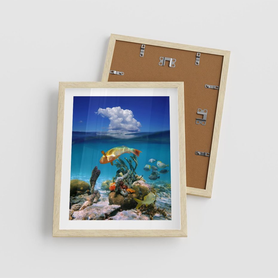 Plakat w ramie 40x50 - Podwodna rafa koralowa: kolorowy oceanowy świat - rafa, koralowa - rama drewno