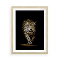 Plakat w ramie 50x70 - Elegancja lamparta - lampart, pantera - rama drewno