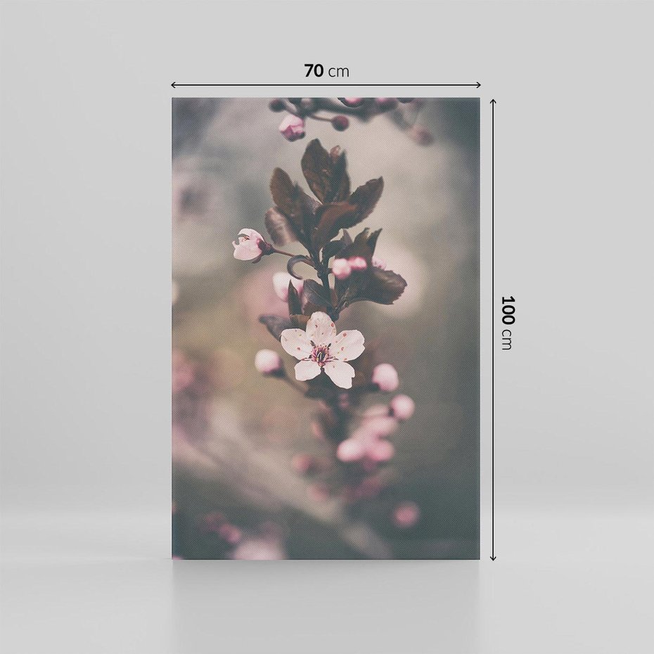 Obraz na płótnie 70x100 - Przemijający Urok - kwitnąca, wiśnia