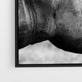 Obraz w ramie 50x50 - Potęga Afryki - czarno biała fotografia, zbliżenie na postać nosorożca - rama czarna