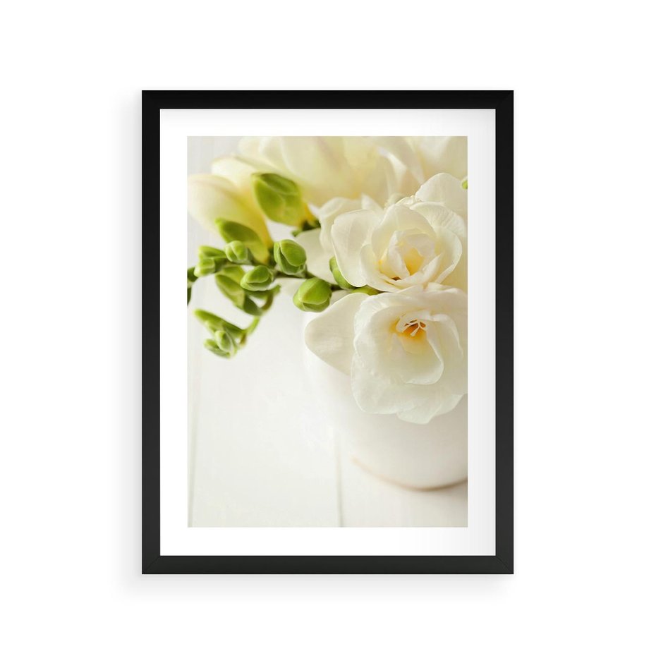 Plakat w ramie 30x40 - Subtelność białych frezji - frezja, białe - rama czarna