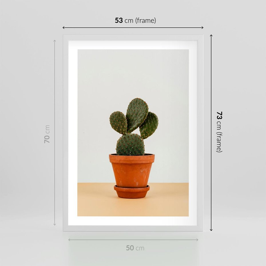 Plakat w ramie 50x70 - Kwiatowy taniec kaktusa - kaktus, kwiat - rama biała