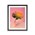 Plakat w ramie 30x40 - Egzotyczna monstera - monstera, liść - rama czarna