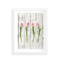 Plakat w ramie 30x40 - Kwintesencja Piękna - kwiaty, tulipany - rama biała