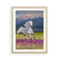 Plakat w ramie 50x70 - Koń Góry: Spotkanie z Wielką Przyrodą - koń, góry - rama drewno