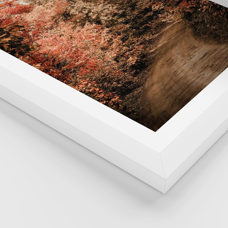 Plakat w ramie 30x40 - Obraz przedstawia jesienne drzewa i czerwone liście na ścieżce w lesie. Ta sceneria doskonale oddaje urok i kolorystykę jesieni w lesie. - las, jesień - rama biała
