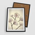 Plakat w ramie 50x70 - Elegancja Natury - magnolia, białe - rama czarna