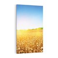 Obraz na płótnie 50x70 - Żyzne Pola - pole, pszenicy