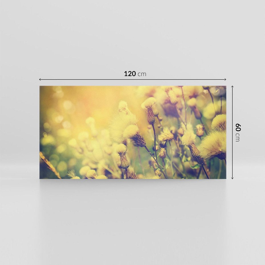 Obraz na płótnie 120x60 - Natura w pełnym rozkwicie - łąka, natura