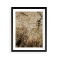 Plakat w ramie 40x50 - Słoje Natury - słoje drzewa, pieńdrzewa - rama czarna