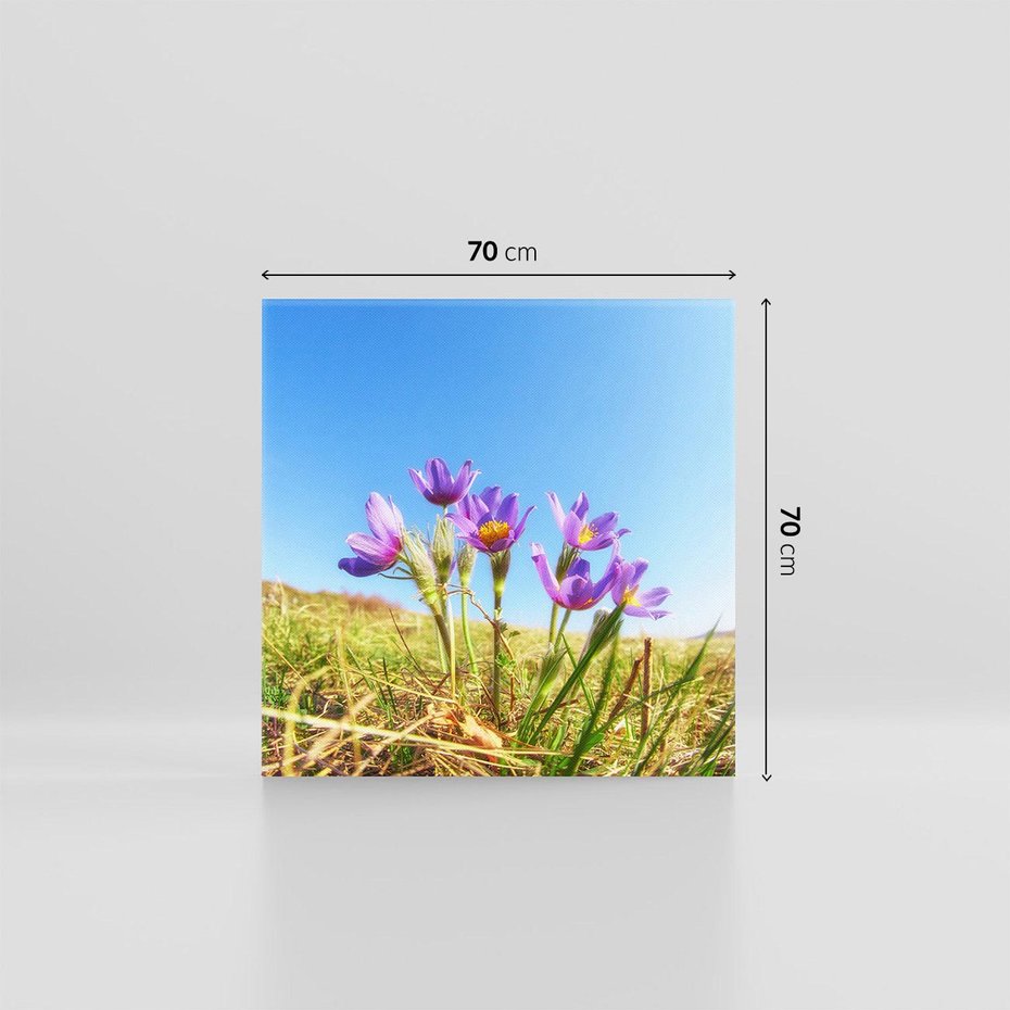 Obraz na płótnie 70x70 - Kwiatowa siła łąki - kwiaty, łąka