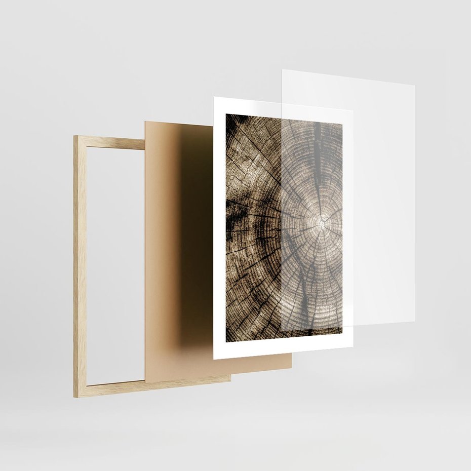 Plakat w ramie 30x40 - Natura Pod Lupą - pień drzewa, przekrój - rama drewno