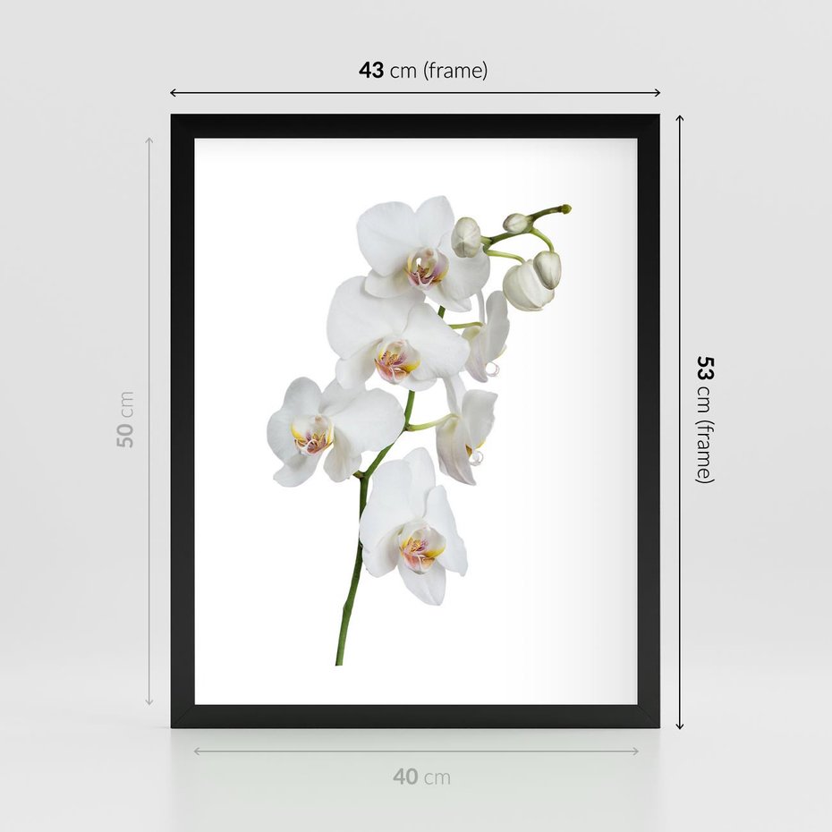 Plakat w ramie 40x50 - Ekskluzywny Relaks - storczyk, spa - rama czarna