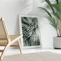 Plakat bez ramy 21x30 - Palmy w Zgaszonej Zieleni - palmy, tropikalne liście
