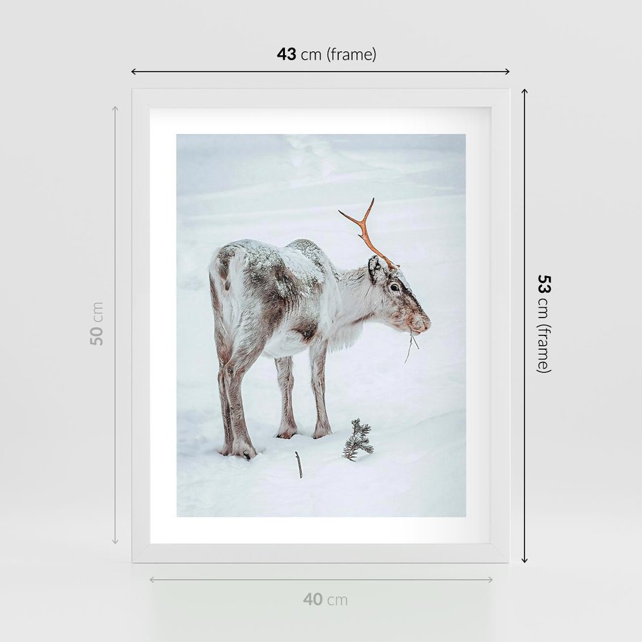 Plakat w ramie 40x50 - Magia Świąt - renifer na śniegu, śnieg - rama biała