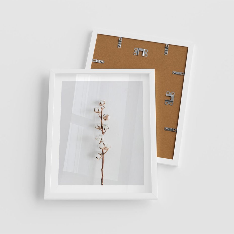 Plakat w ramie 40x50 - Minimalistyczna Gałązka Bawełny - bawełna, gałązka bawełny - rama biała