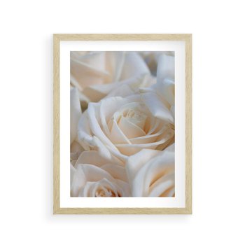 Plakat w ramie 40x50 - Białe róże piękności - białe, róże - rama drewno