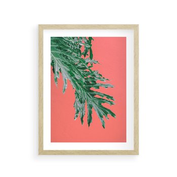 Plakat w ramie 30x40 - Energetyczna Eksplozja Natury - liście, kolor - rama drewno